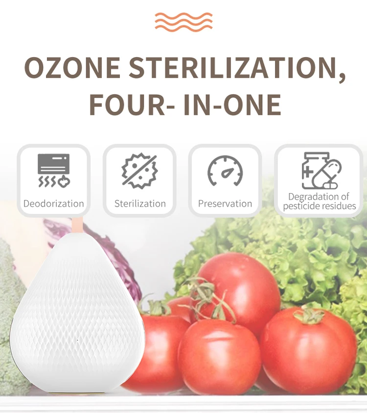 S1 Fridge Deodorizer (5).jpg