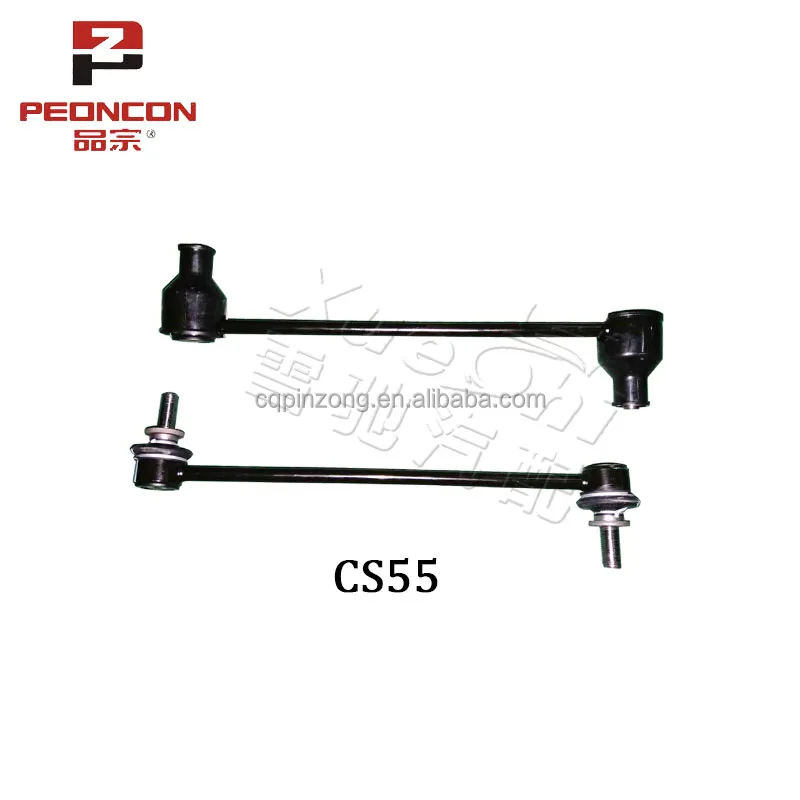 CS55-01.jpg
