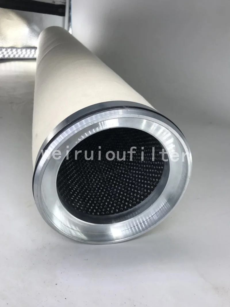 Natural Gas Liquid Coalescing Filter CS604LGT2DH13