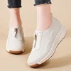 Beige (hollow out)