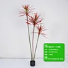 180cm three-stemmed red agave with rainbow ferns
