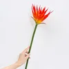 Orange-red