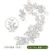 Foglie bianche e tralci di Elaeagnus angustifolia