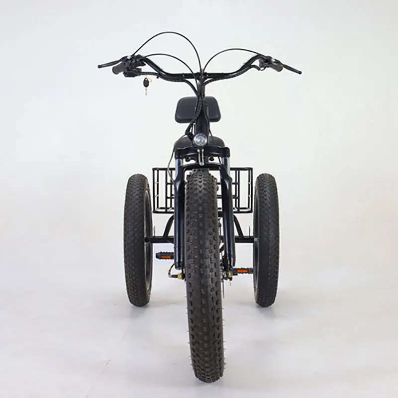 Wheel Electric Bicycle Fat Bike Wheels 350W Wheel Electric Bike - Main Image