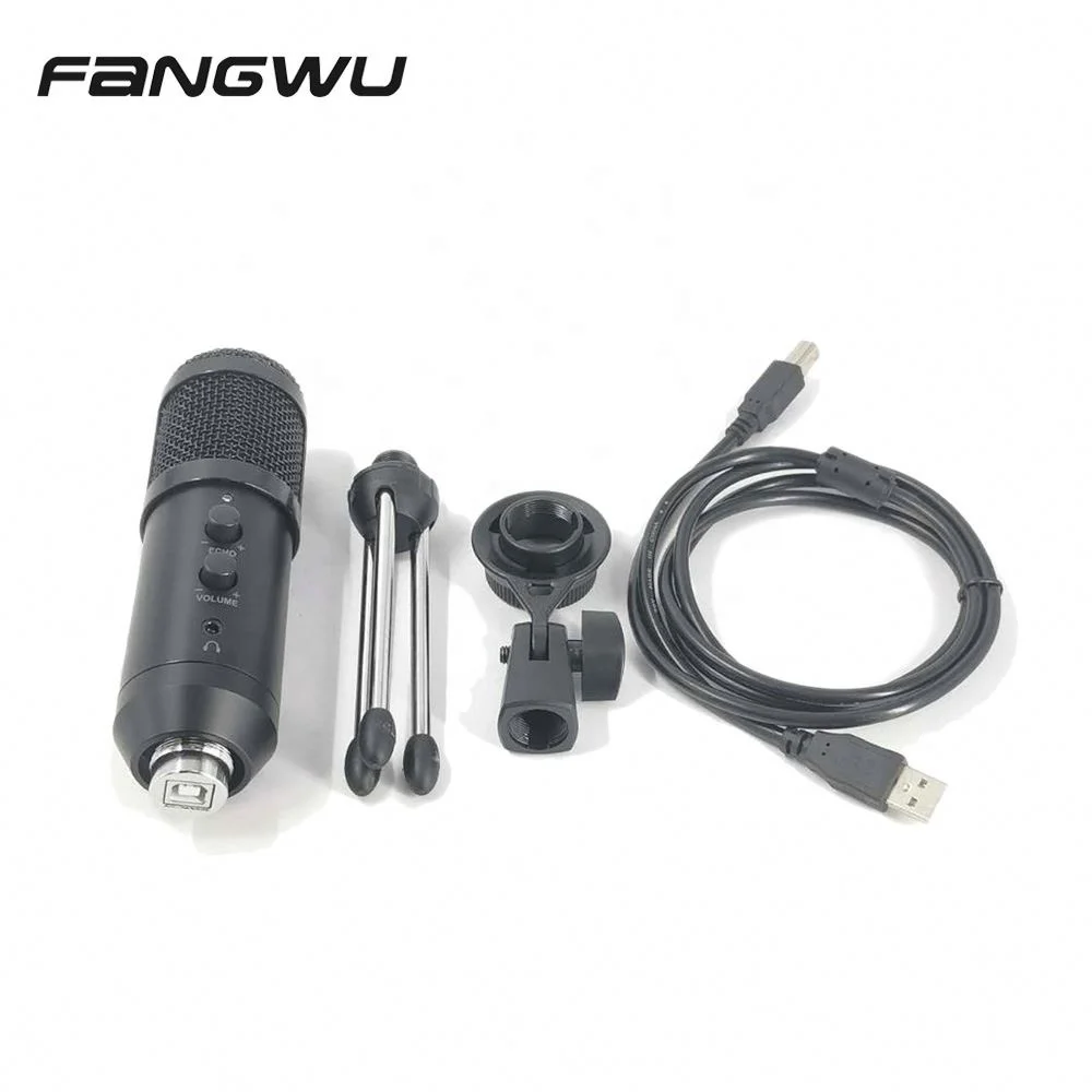 Fangwu China Mics of Studio Vocal Wired Mic