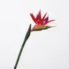 Taglia grande - Rosso