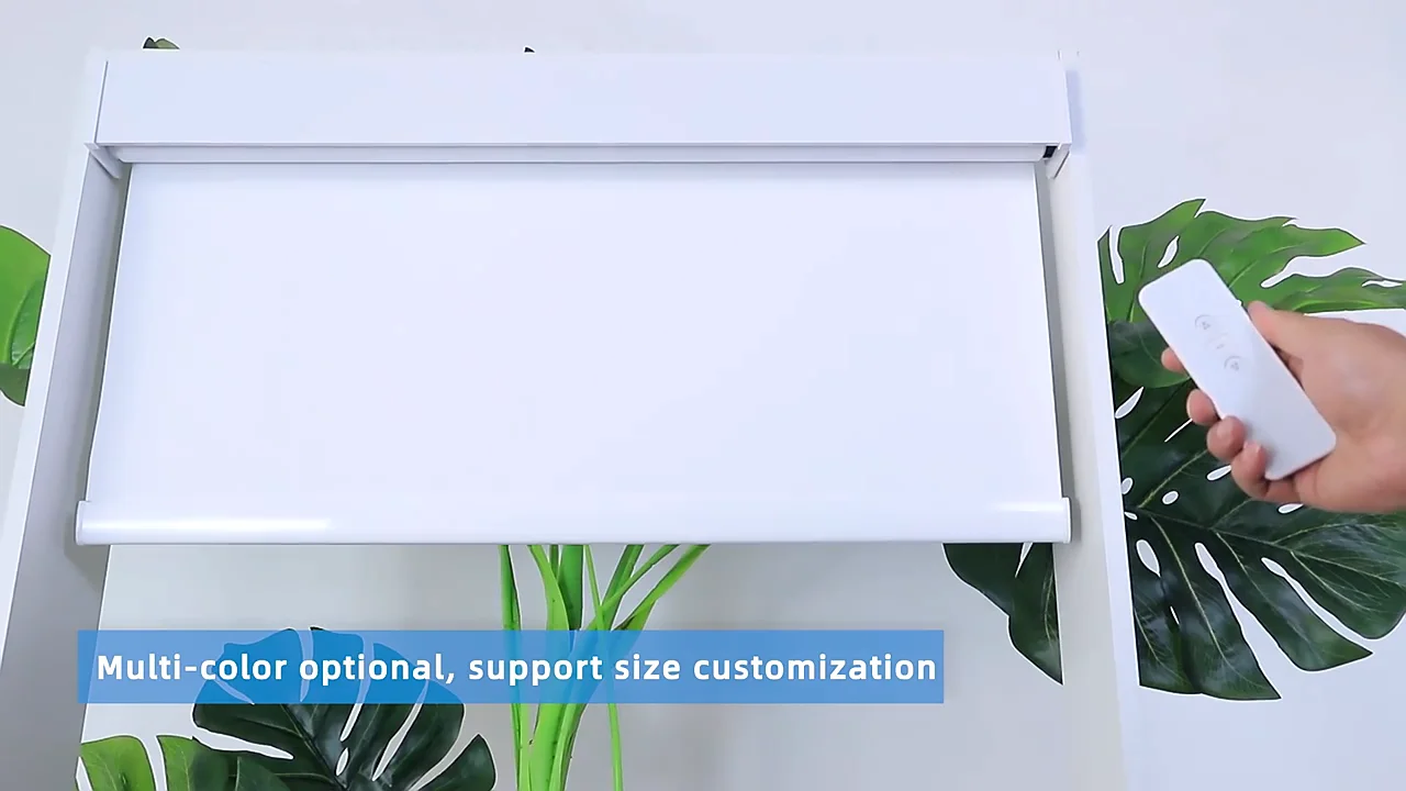 Wifi Google Alexa Remote Control Blackout Windproof Shades Electric