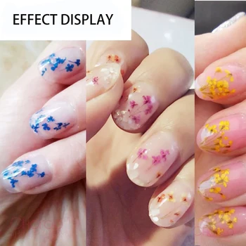 Dried Flowers For Nail Art GH09