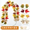 22 maple vines (1.75 meters each)