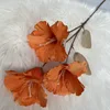 3 naranjas caramelo