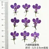 MH99 naturel violet 12 pcs/sac