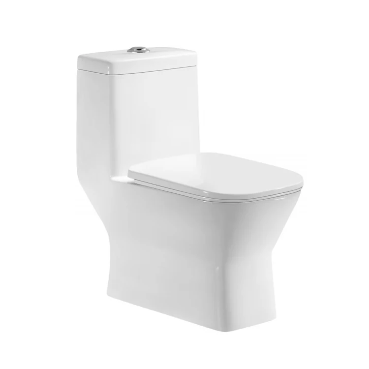 Manufacturer 1-pcs Toilets Inodoro Siphonic Porcelain Elongated Flush Toilet Bowl Chaozhou Square WC