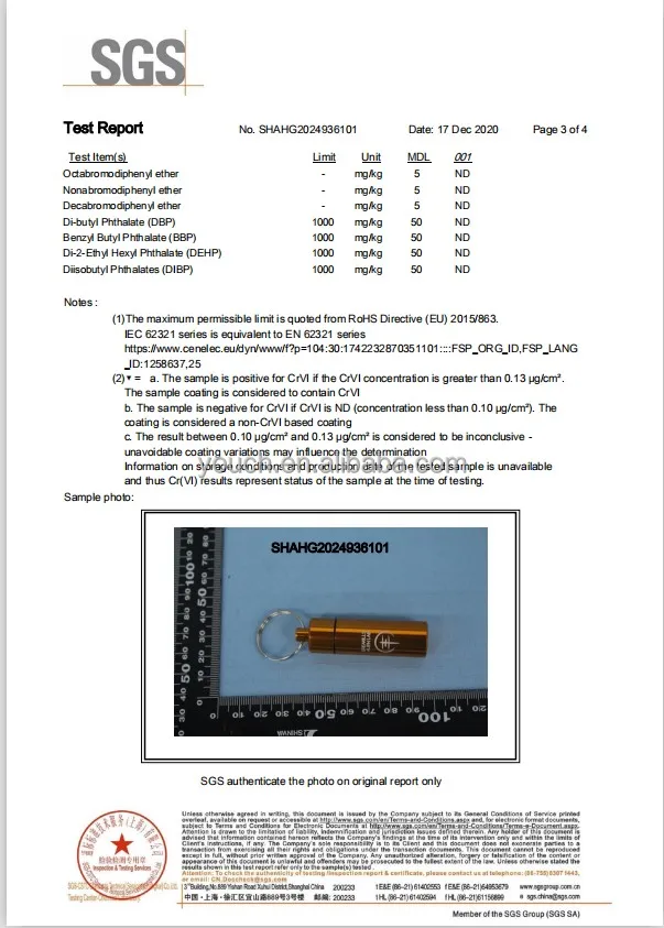 SGS  ROHS 3.JPG