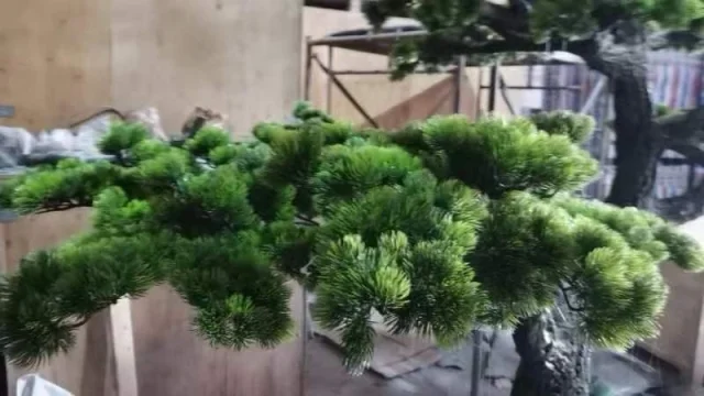 Highly Realistic Artificial Cedar Pine Trees for Indoor and Outdoor Garden Landscaping Bonsai Decorative Artificial Plants