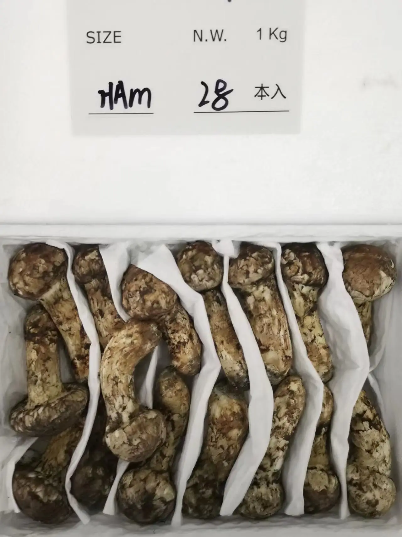 Seasonal Fresh Wild Matsutake Export Quality Directly Harvested From ...