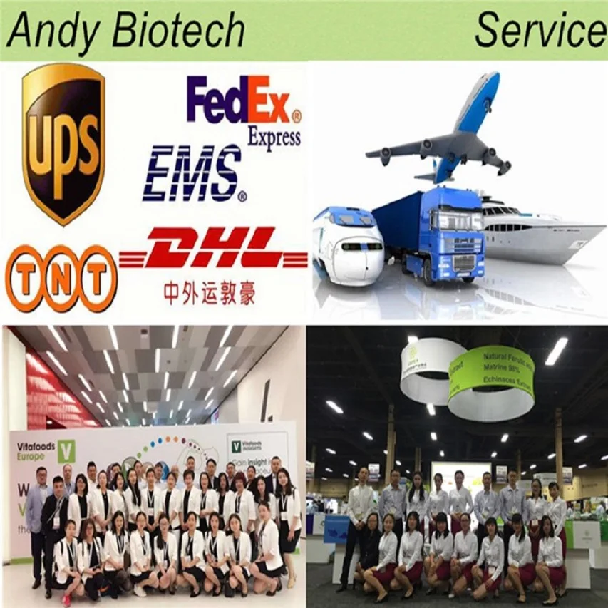 Service