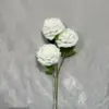 สีขาว