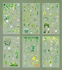 Colorato-14