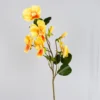 Giallo