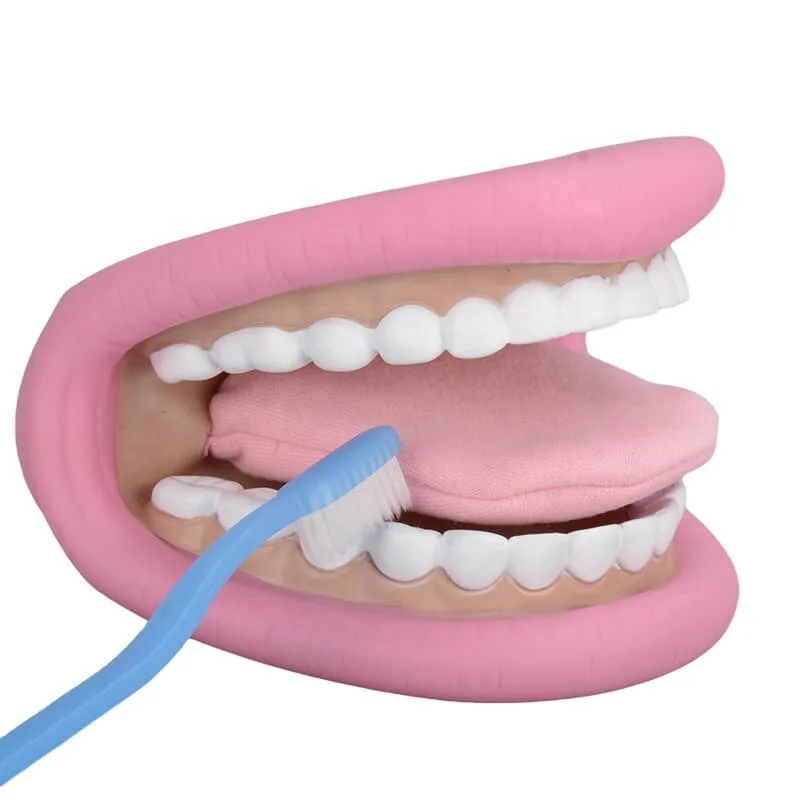 Custom PVC Hand Puppet With Teeth Movable Tongue Include Toothbrush Dental Model Mouth Puppet