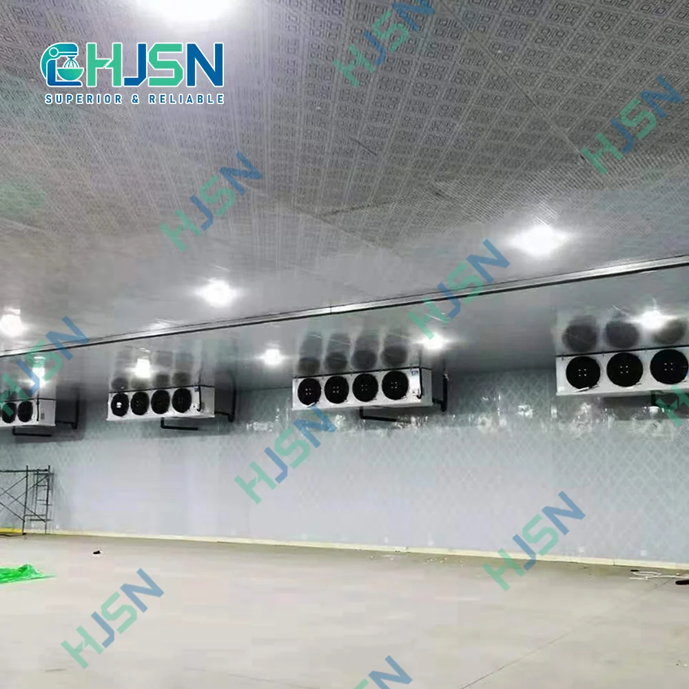 Blast Freezer, AC 220V~240V, R-410A - detail 24
