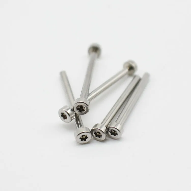 Custom Stainless Steel case Lug Strap Band Connecting Torx T6 Chicago Screw for Watch