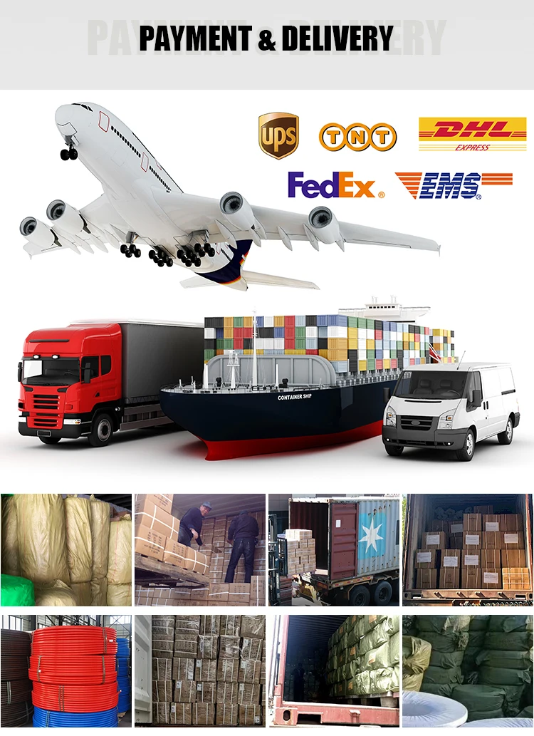 PEX_13.jpg