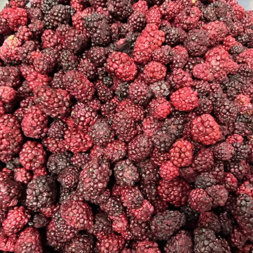 GY 50g Freeze Dried Blackberry FD Sweet Flavor Bulk Water Preserved China Private Label Fruit Snacks Manufacturers