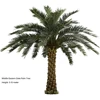 Palmera de Dátiles Artificial de Oriente Medio