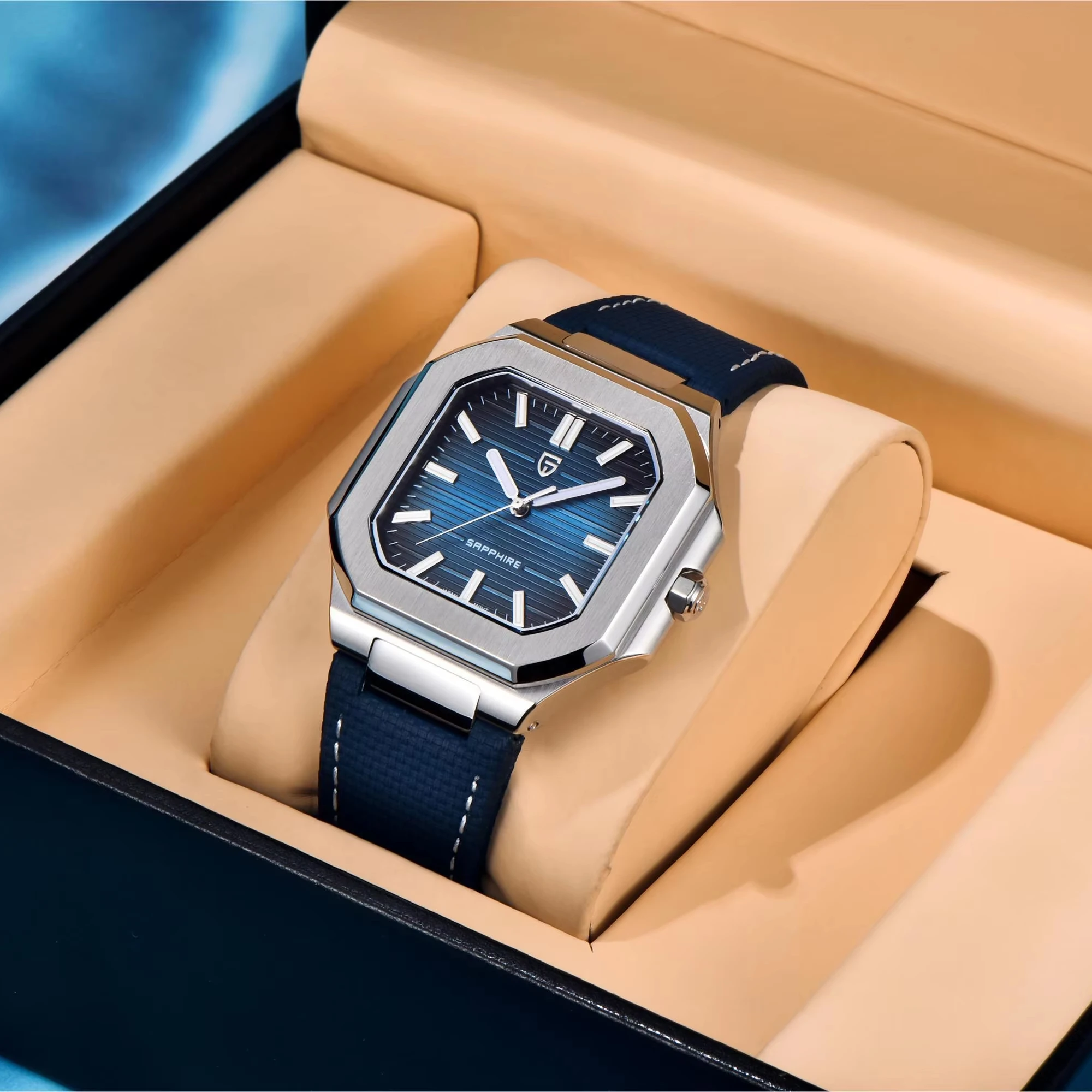 Wristwatches Luxury Watches Topnotch Watch PAGANI DESIGN PD