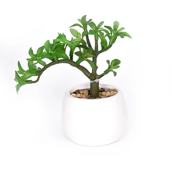 DIY sets indoor office desktop decoration artificial mini succulents plants wholesale
