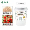 Tomato Planting Kit