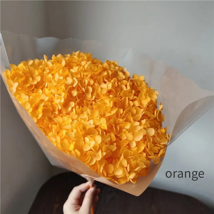 Dried Hydrangea Blooms site Top Seller Dried Natural Large Plum Berry Hydrangea Preserved