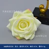 Oil painting corner rose flowers, milky white