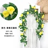 Rose vines - yellow