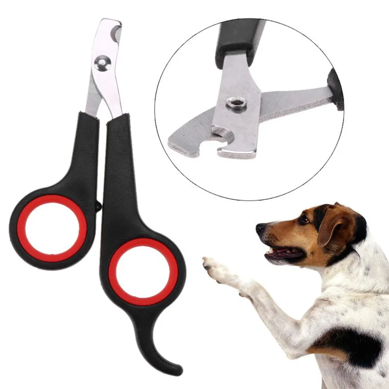 small dog toenail clippers