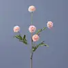 #3 Rosa chiaro