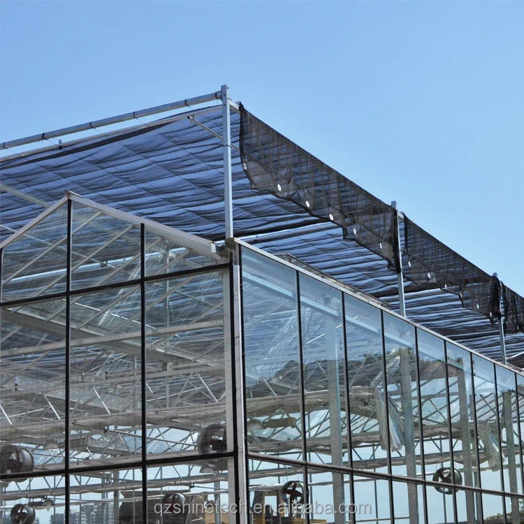 triangle roof greenhouse