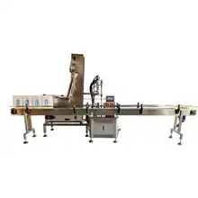 Bottle Screw Cap Capping Machine Fully Automatic Plastic Electric Syrup Bottles Provided Capping Machine for Mini Wine Bottles