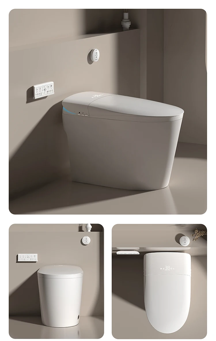 Modern Automatic Sanitary Ware Floor Mounted Auto Flush Electric Toilet ...
