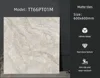 TT66PT01M