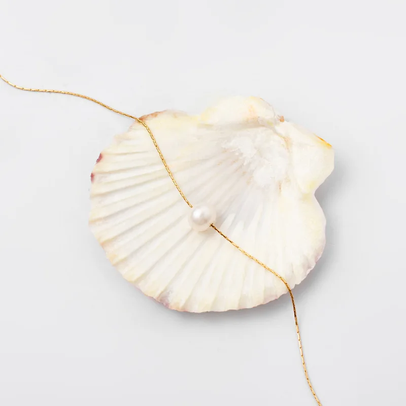 Dainty Choker Necklace