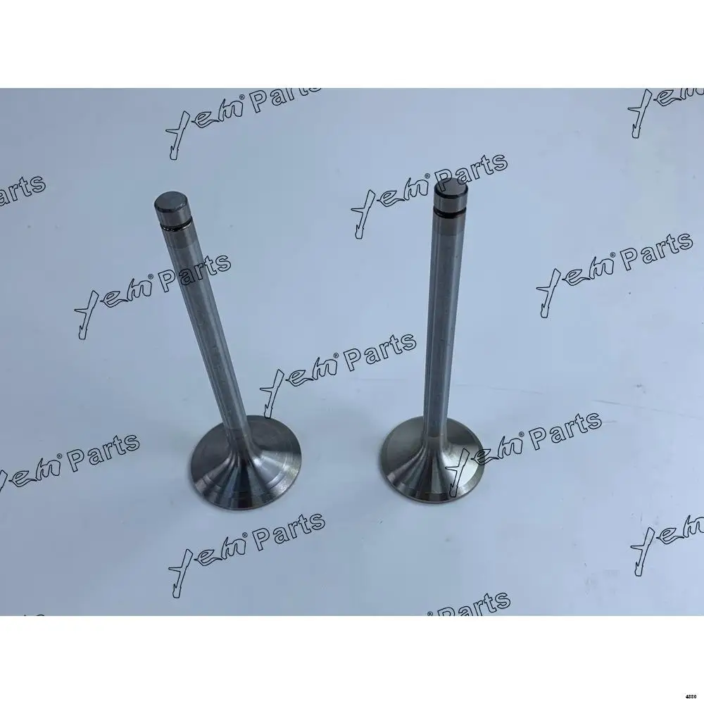 EL100 Intake Valve Kit for Hino Tractor & Utility Vehicle Aftermarket Parts