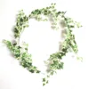 Vert bordé de blanc