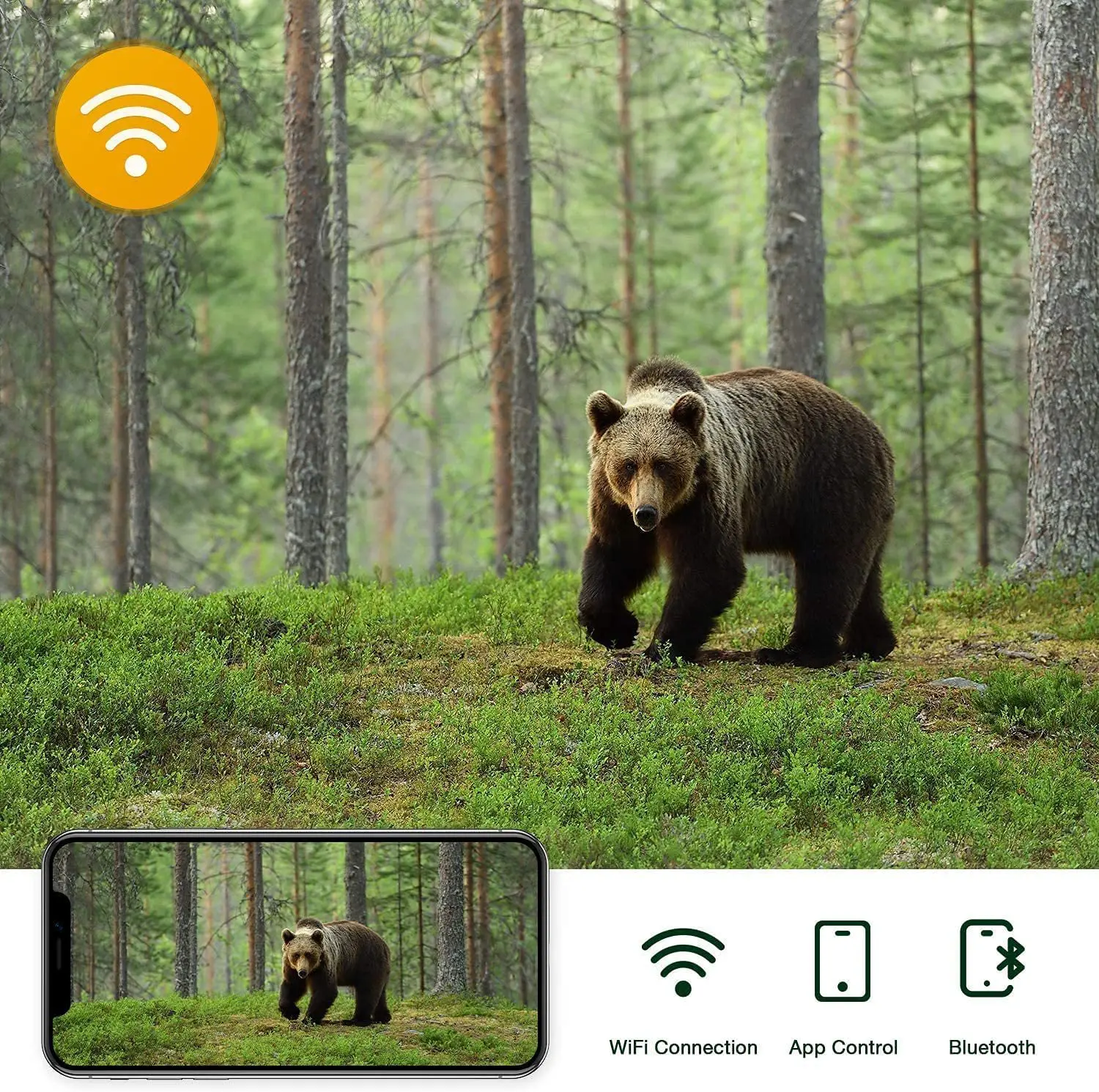 Hunting Trail 4K 30MP Trap Game Wildlife Camera MMS Wifi801Pro Support Max 256GB SD Card