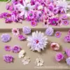 300 fleurs violettes