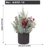 Mixed Frost Pine Red Berry Mini Christmas Potted Plant