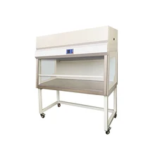 Senbao Factory Customized Laminar Flow Hood Horizontal/Vertical Clean Work Bench for Cleanroom Lab Medical Chemical