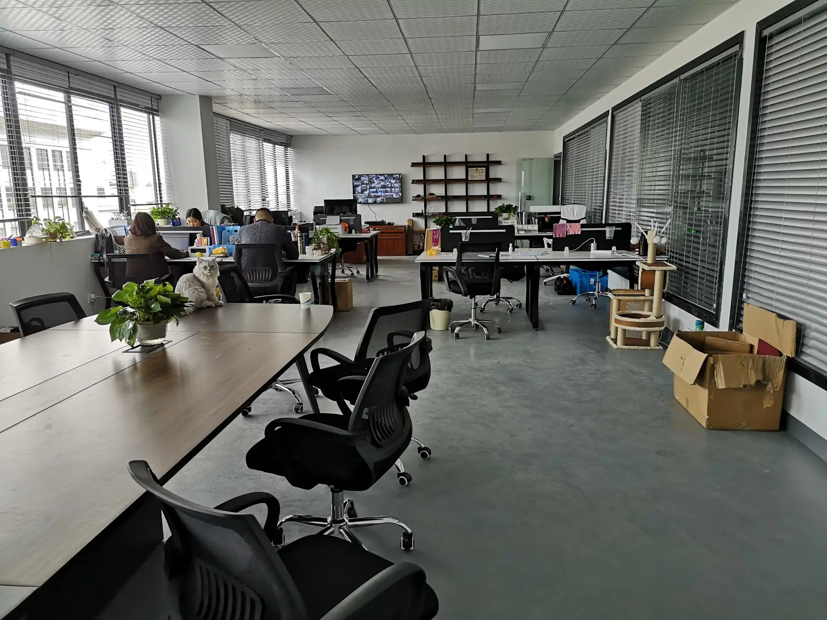 Jinhua Gordon Sports Co., Ltd. 2