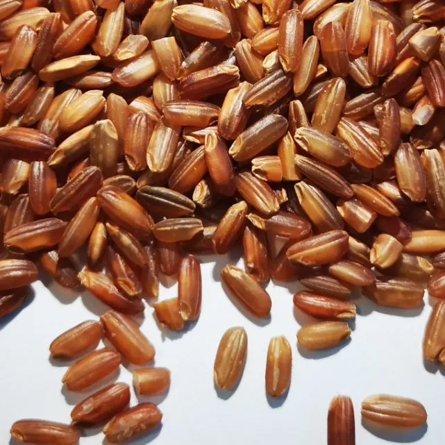 steamed red rice.JPG